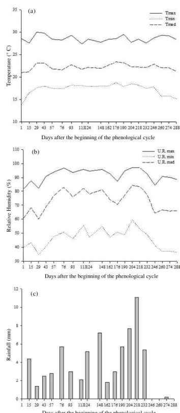 Figure  1  –  Mean  of  the  climatic  variables  measured biweekly during the phenological cycle