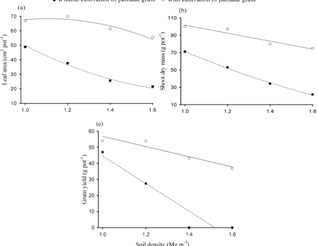 Figure 2 – Leaf area (a), shoot dry mass (b) and grain yield (c) of the soybean cultivated in pots with and without previous cultivation of the palisade grass, in function of the soil density.