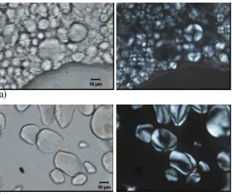 Figure 1 shows the wheat flour and GBF under an optical microscope using normal and polarized light