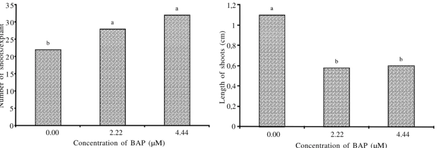 Figure 3 – Number of shoots per explant (A) and average shoot length (B) of Syngonanthus mucugensis Giul
