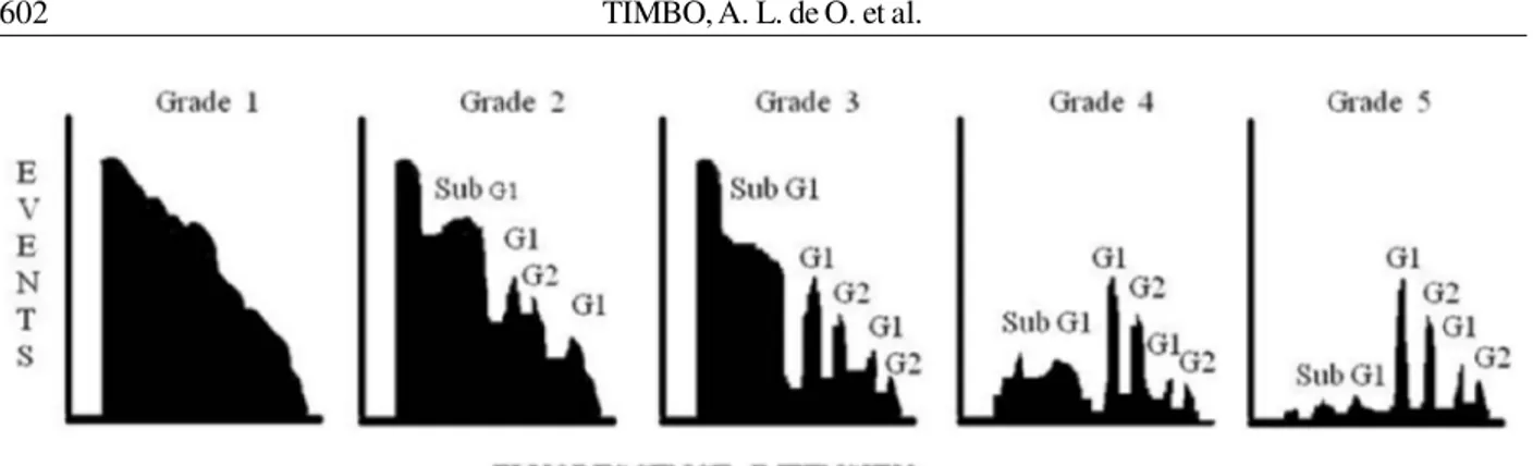 Figure 1 – Representation of the score system adopted for the evaluation of the histogram.