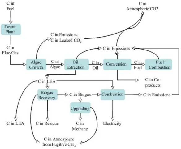 Figura 3 - Ciclo do carbono [18] 