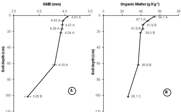 Figure 4 – Pattern of mean geometric diameter of aggregates (A), organic matter content (B) along the studied profile.