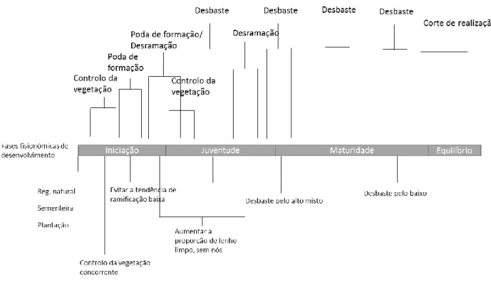 Figura 14. Modelo de silvicultura para povoamento puro de Castanheiro em alto fuste, para produção de lenho