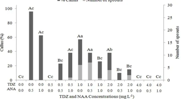 Figure 5 – Percentage of induced calli and number of shoots formed for S. elegantulus explants with the addition of TDZ and NAA to the culture medium