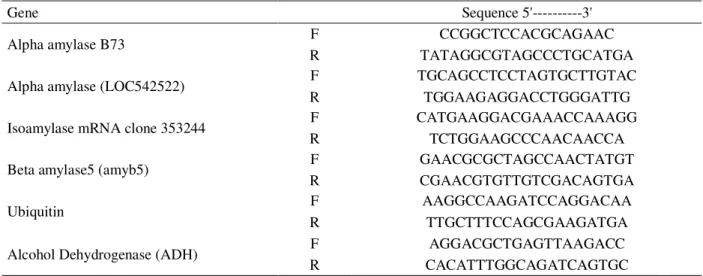 Table 2 – Primers used in the analysis of  qRT-PCR in seeds of different maize inbred lines.