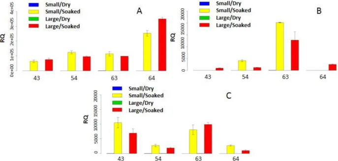 Figure 2 – Relative quantitative expression profile of the gene: A- alpha amylase B73 (AmyB73); B - alpha amylase (LOC542522); C - beta amylase5 (AmyBeta5), in small and large, dry and soaked seeds of maize inbred lines.