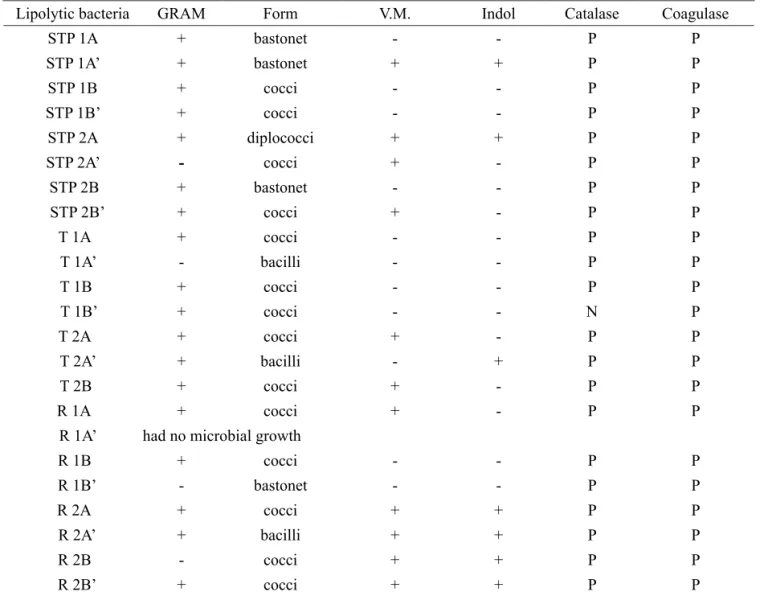 Table 2 – Biochemical characterization of selected lipolytic bacteria.