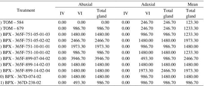 Table 3 – Mean density (nº/cm 2 ) of glandular trichomes on the abaxial side and adaxial side and the total glandular density on both sides of the plants obtained during the tomato genotype selection for the highest density of trichomes performed by Maluf 