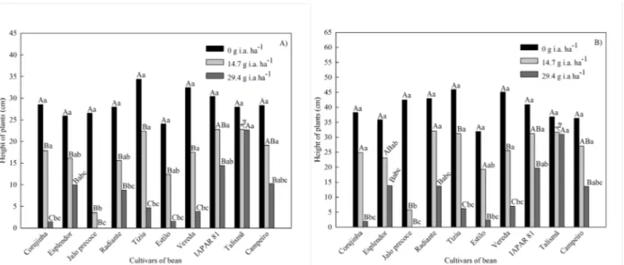 Figure 2  –  Height of plants at 28 (A) and 35 DAA (B) of ten bean cultivars in response to saflufenacil concentrations