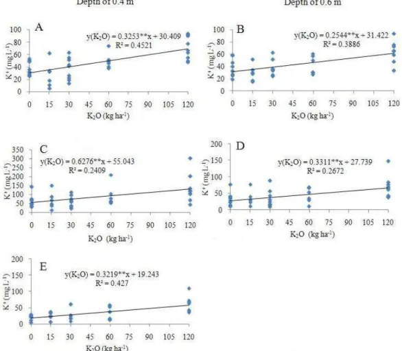 Figure 6: Regression equations for potassium concentration in the soil solution at the depths of 0.4 and 0.6 m,  respectively, in the first (A and B), second (C) and third (D and E) wine vine growing cycles.