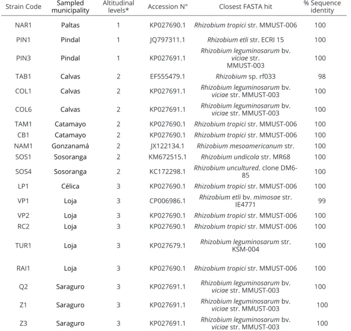 TAB1 Calvas 2 EF555479.1 Rhizobium sp. rf033 98