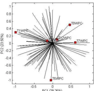 Figure 3: Internal preference map of the global  acceptance of the pellets with WPC.