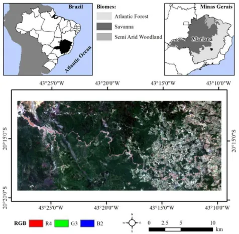 Figure 2: Study area location within Minas Gerais state, Brazil.