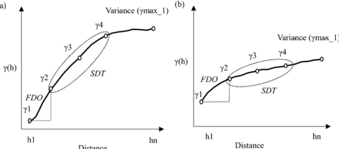 Figure 7: Semivariogram representation of the total data variance for the FDO and SDT indices: (a) heterogeneous  objects, and (b) homogeneous objects.