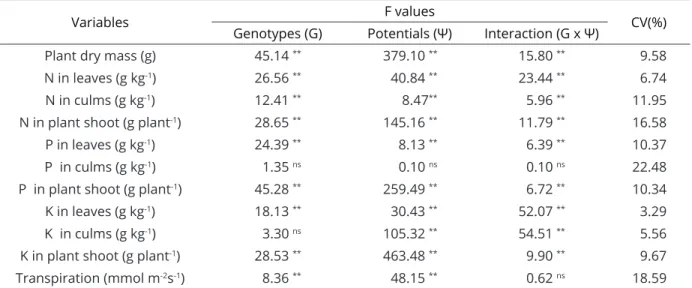 Table 1: Summary of the analysis of variance (F test) for plant dry mass, content of nitrogen (N), phosphorus  (P) and potassium (K) in leaves and culms, accumulation (in plant shoot) of N, P and K, and transpiration rate, of  plants from three sugar cane 