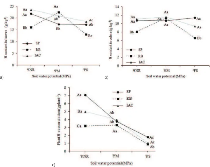 Figure 3: Content of nitrogen (N) in leaves (a) and culms (b), and accumulation in the shoot (c) of plants from  three sugar cane genotypes (SP= SP81-3250, RB= RB855453, IAC= IACSP95-5000), grown under three soil water  potentials (ΨNR= -0,010 to -0,015 MP