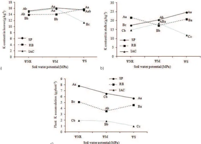 Figure 5: Content of potassium (K) in leaves (a) and culms (b), and accumulation in the shoot (c) of plants from  three sugar cane genotypes (SP= SP81-3250, RB= RB855453, IAC= IACSP95-5000), grown under three soil water  potentials (ΨNR= -0,010 to -0,015 M