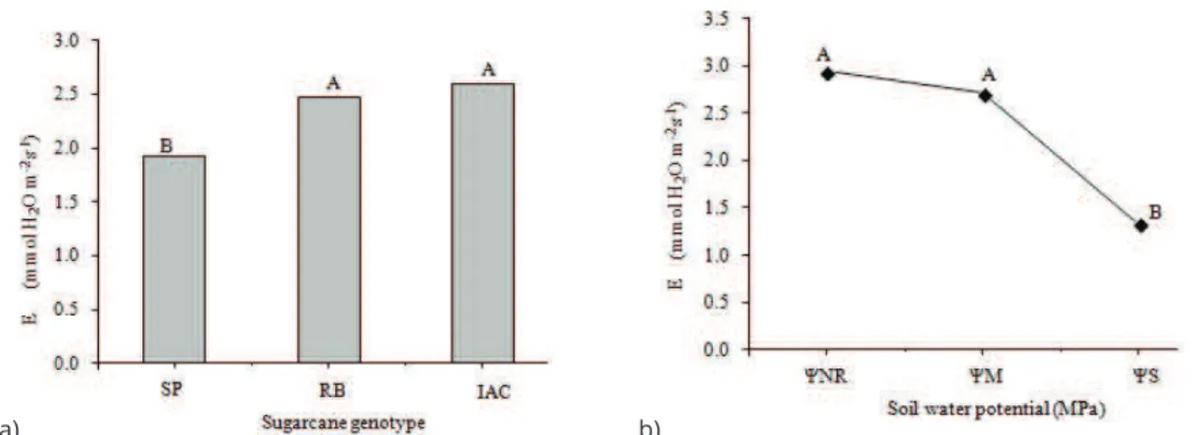 Table 2: Pearson correlation among variables: plant dry mass (PDM), plant transpiration rate (TRA), and contents  (g kg -1 ) of nitrogen (N), phosphorous (P) and potassium (K) in leaves (N L , P L  and K L , respectively) and culms (N C , P C and K C , res