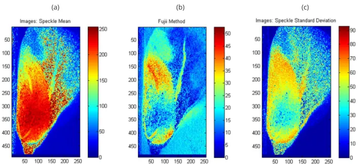 Figure 3: Graphical outcomes of Biospeckle Laser data from maize seed using the routines (a) Mean Values, (b)  Fujii and (c) Standard Deviation.