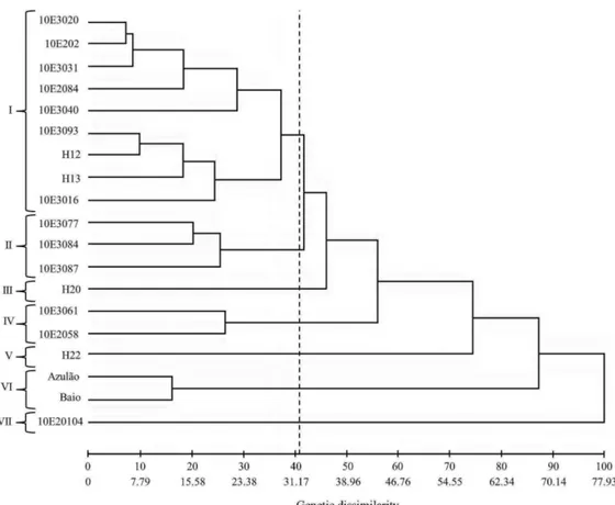 Figure 2: Dendrogram developed from quantitative data with the generalized Mahalanobis distance (D 2 ii’ ) and  by the UPGMA clustering method between nineteen Paspalum genotypes