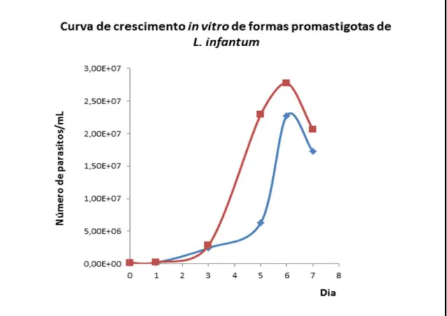 Figura  6.  Quantificação  de  parasitos  no  baço  e  fígado  dos  animais  após  3  meses  de  infecção