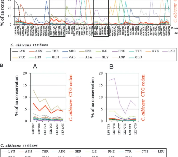 Figure 9 Candida albicans CTG codons display a biased pattern of conversion to serine codons in Saccharomyces cerevisiae