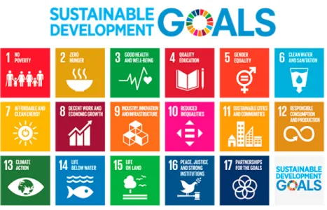 Fig. 1 — Sustainable Development Goals.