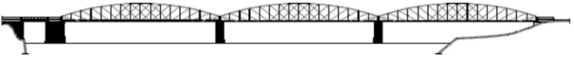 Figure 3. General geometrical characteristics of the Pinha˜o Bridge main spans.
