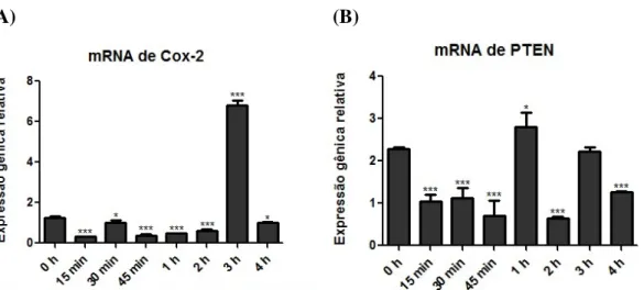 Figura  8:  Níveis  de  expressão  dos  mRNAs  e  das  proteínas  de  COX-2  e  PTEN  em  células  A549 tratadas ou não (0 h - controle) com Ang-(1-7)