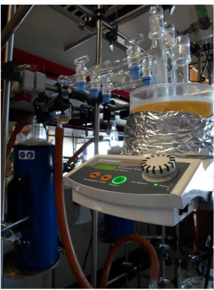 Figura 1. Sistema de vácuo para secagem dos líquidos iónicos. 