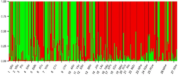 Figure  3.  Proportion  of  genotype  membership  q  (y-axis)  based  on  STRUCTURE  cluster  analysis