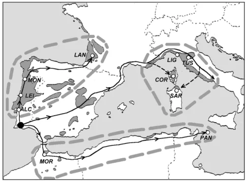 Figure  3.  The  three  major  groups  of  populations  and  preglacial  migration  pathways  hypothesis  considered  for  P