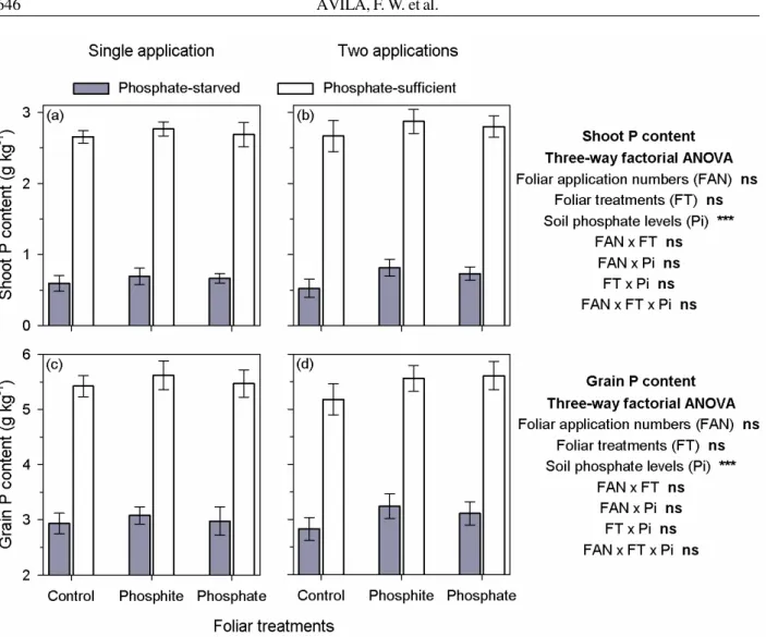 Figure 4 – Shoot P content (a and b) and grain P content (c and d) in common bean grown under 2 phosphate levels (phosphate-starved plants = 40 mg P dm -3  soil, and phosphate-sufficient plants = 200 mg P dm -3  soil), 3 nutrient sources supplied via folia