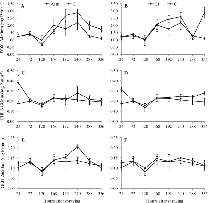 Figure 2 – POX (A and B), CHI (C and D) and GLU (E and F) activities in leaves of coffee seedlings after being treated with acibenzolar-S-methyl (Asm) 200 mg L  1 , citronella essential oils (Ci) 1000 µL L -1  and distilled water (C)