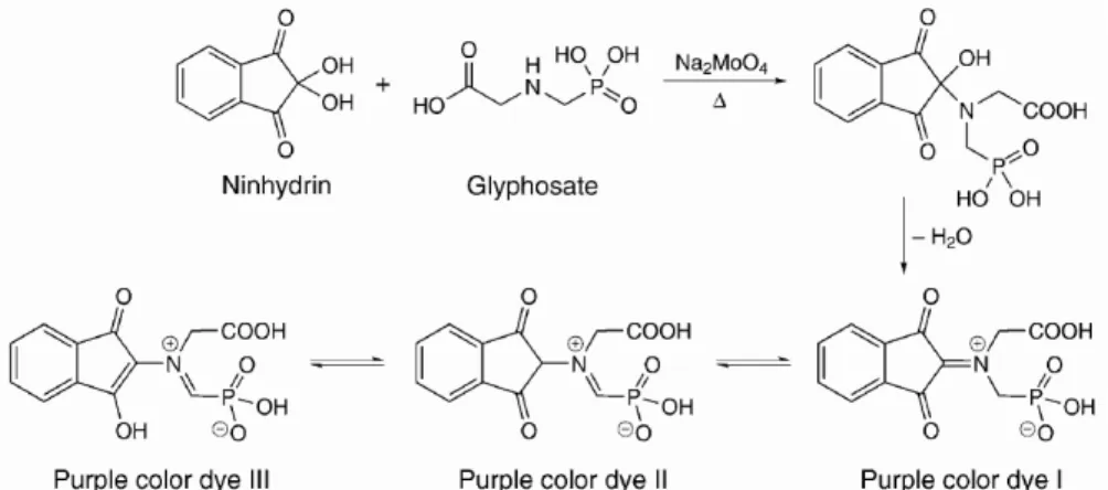 Figure  2  shows  the  absorption  curves  of  the solutions  containing  different  concentrations  of glyphosate  in  the  presence  of  sodium  molybdate  and ninhydrin