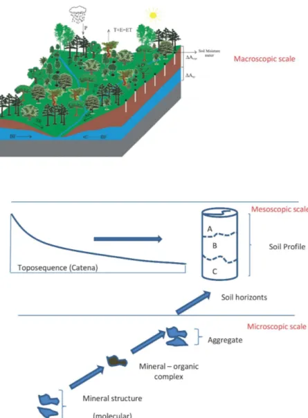 Figure 2 – Fundamental characteristic of Hydropedology: connection between the micro-, meso- and macro-scales (Adapted from LIN, 2003).