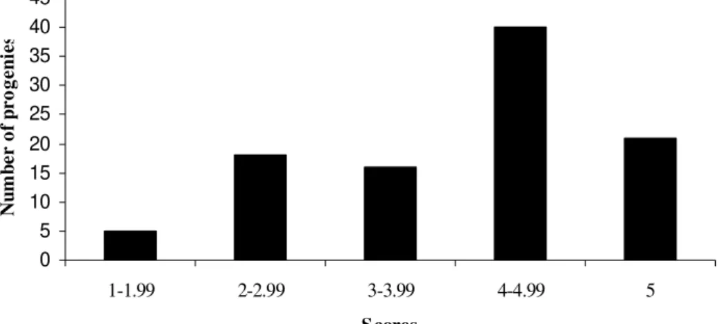 Figure 1 – Frequency distribution of the means of the trait of grain darkening score of the F 2:3  progenies at 90 days after harvest