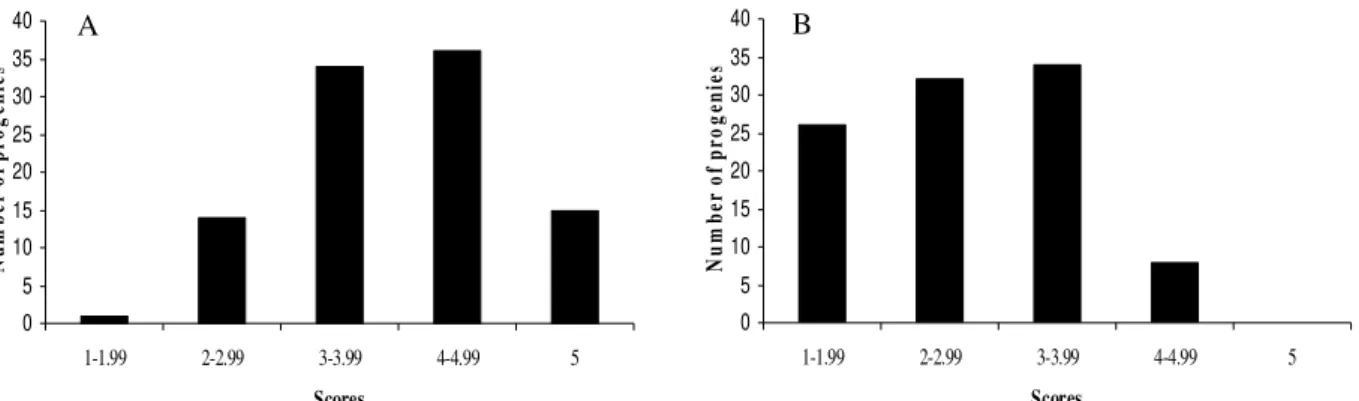 Figure 2 – Frequency distribution of means of the F 2:4  progeny scores in Patos de Minas (A) and Lavras (B) at 60 days after harvest
