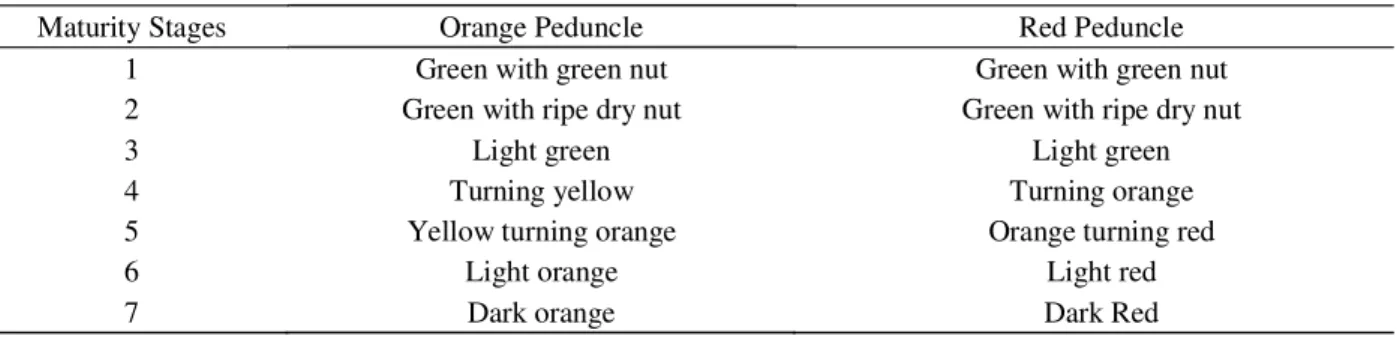 Table 1 – Subjective scale for ripening of orange (CCP 76 and CCP 09) and red (BRS 265 and BRS 189) cashew apples from dwarf cashew clones.