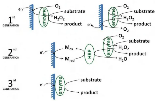 Figure 1.3 Scheme of different generations of amperometric enzyme sensors 