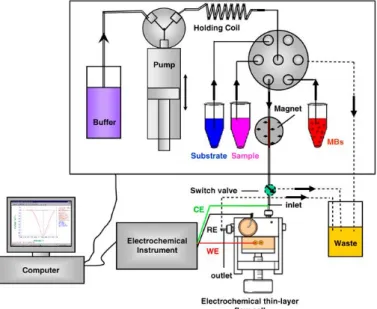 Figure 1.5 Flow Injection Analysis System 