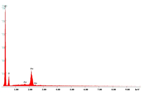 Figure 3.3 EDX spectrum of Au filled PCTE membrane before etching (3D) 
