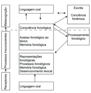 Figura 2 - Esquema representativo do processamento fonológico e da sua relação com a consciência fonológica  (Fonte: Avila 2005:819) 
