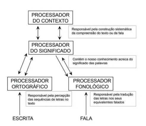 Figura 4 - Processadores do sistema da leitura  (Fonte: Lopes 2006:12 - adaptado de Adamas, 1990) 