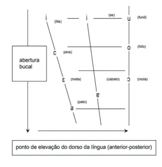 Figura 8- Quadrilátero das vogais 