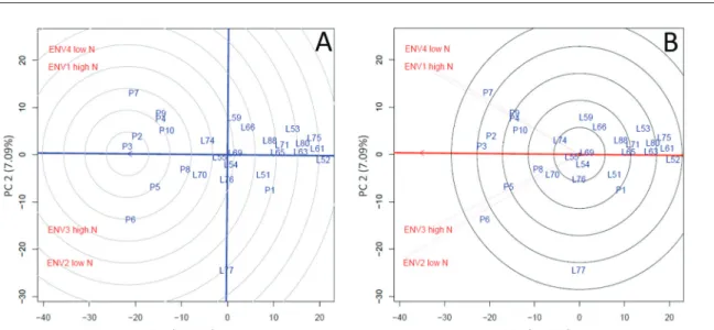 Figure 2: GGE biplot comparing the 29 S 7  lines of popcorn evaluated with (A) the estimate of an ideal genotype  and (B) the discrimination and representativeness of the environments for grain yield (kg ha -1 ).