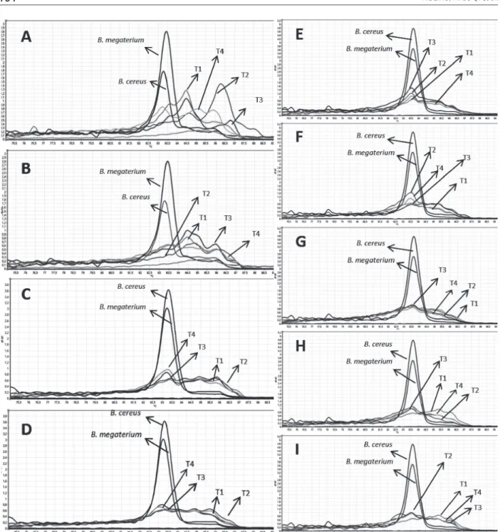 Figure 3: Melting curves of the different treatments at each turning. A) R2 – 5th day B) R4 – 9th day C) R10 – 23rd  day D) R12 – 40th day E) R13 – 54th day F) R14 – 68thday G) R15-82th day H) R16 – 96thday I) R17 – 110th day
