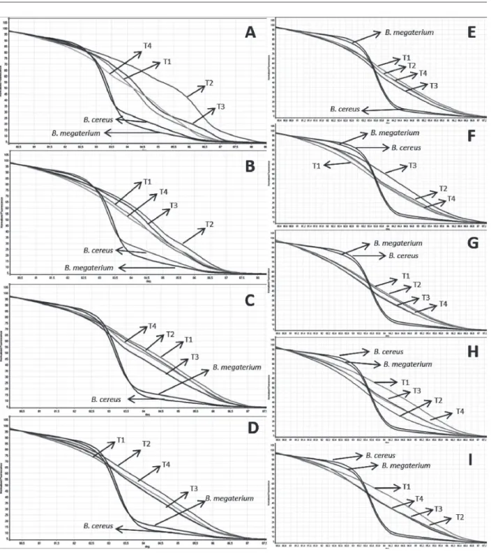 Figure 4: Normalized curves of the different treatments at each turning. A) R2 – 5th day B) R4 – 9th day C) R10 –  23rd day D) R12 – 40th day E) R13 – 54th day F) R14 – 68th day G) R15-82nd day H) R16 – 96th day I) R17 – 110th