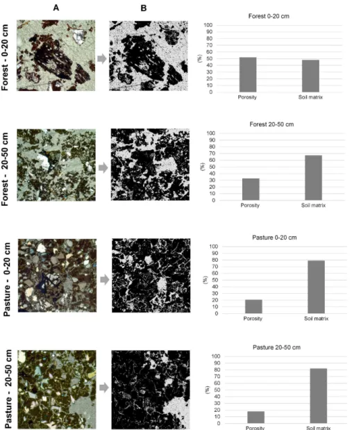 Figure 5: Thin sections of soils under native forest and pasture (at 0-20 cm  and 20-50 cm depths) (A) and image  classified in porosity and soil matrix (B)